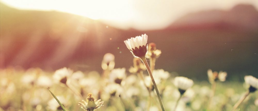Auftank-Tage mit Yoga & Naturerfahrung